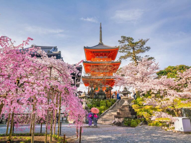 tokyo-flower-blossom-landmark-spring-cherry-blossom-1593209-pxhere.com-min