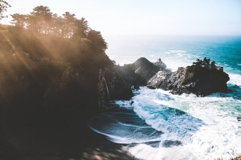 beach-sea-coast-tree-water-nature-44741-pxhere.com