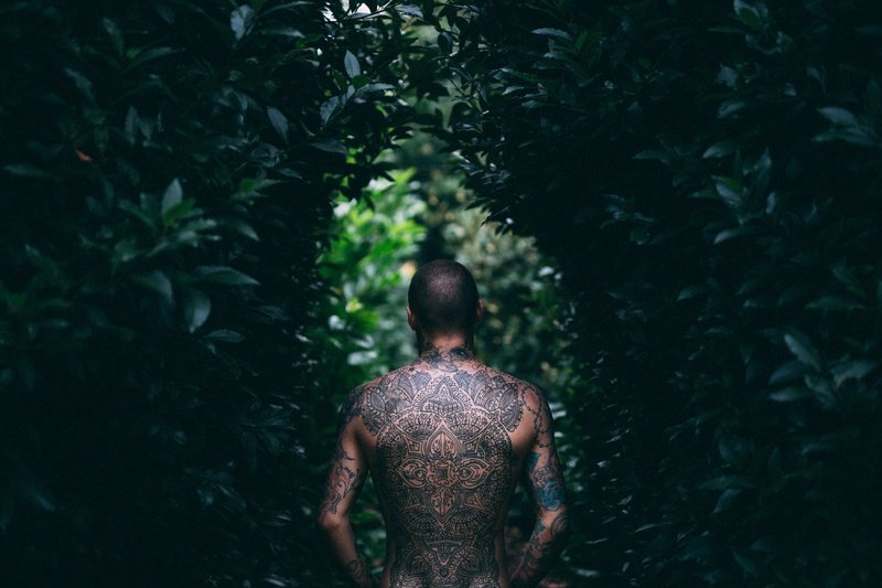 man-forest-male-underwater-bush-jungle-78114-pxhere.com