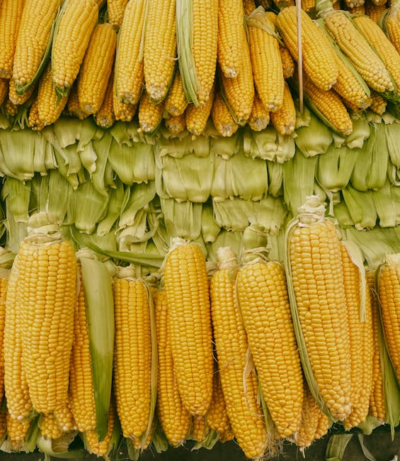 Norway Plans Grocery Market Overhaul to Fight Rising Food Costs