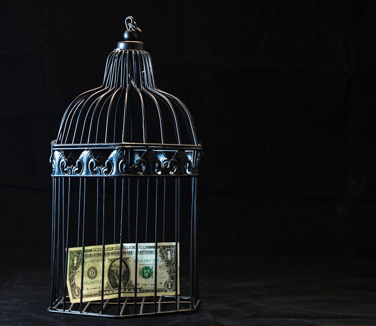 **Find Financial Freedom, Start Now**

Saving money can seem overwhelming, especially if you’re juggling bills and expenses. But here's a simple trick: automate your savings. Set up recurring transfers from your checking to your savings account – even small amounts add up over time. This way, you pay yourself first, before you get a chance to spend!

Here are some easy ways to boost your savings:

1.  **Track Your Spending:** Use a budgeting app or a simple spreadsheet to monitor where your money goes. Awareness is the first step to improvement. Identify areas where you can trim unnecessary expenses.
2.  **Automate Savings:** Set up automatic transfers to your savings account on payday. Start small, like $25 or $50, and increase it over time as your budget allows.
3.  **Cook More at Home:** Eating out is a major budget buster. Plan your meals for the week and cook at home more often. Pack your lunch for work to save even more.
4.  **Review Subscriptions:** Cancel subscriptions you don't use regularly. Streaming services, gym memberships, and other subscriptions can add up quickly. Reassess what you truly need.
5. **Shop Smart:** Compare prices before buying, use coupons, and look for sales. Consider buying generic brands for everyday items.

Wishing you success as you implement these tips — Miasplit('\n\n')[0].replace(/\*\*/g, '').trim() }}
