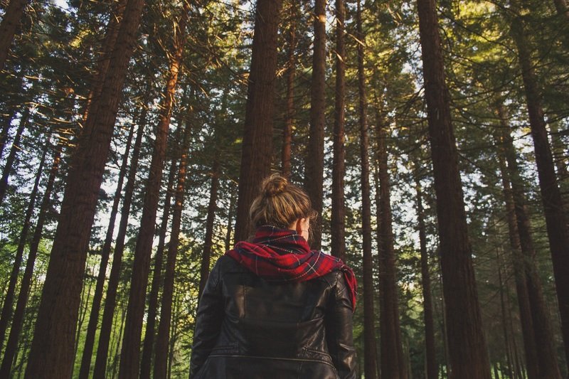 tree-nature-forest-outdoor-wilderness-person-1076000-pxhere.com