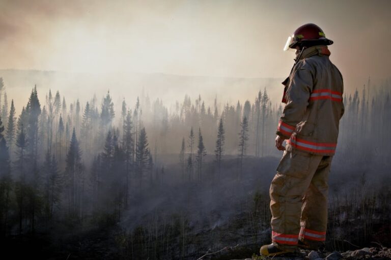 Firefighters Battle Overnight Blaze at Iconic Arthur’s Seat